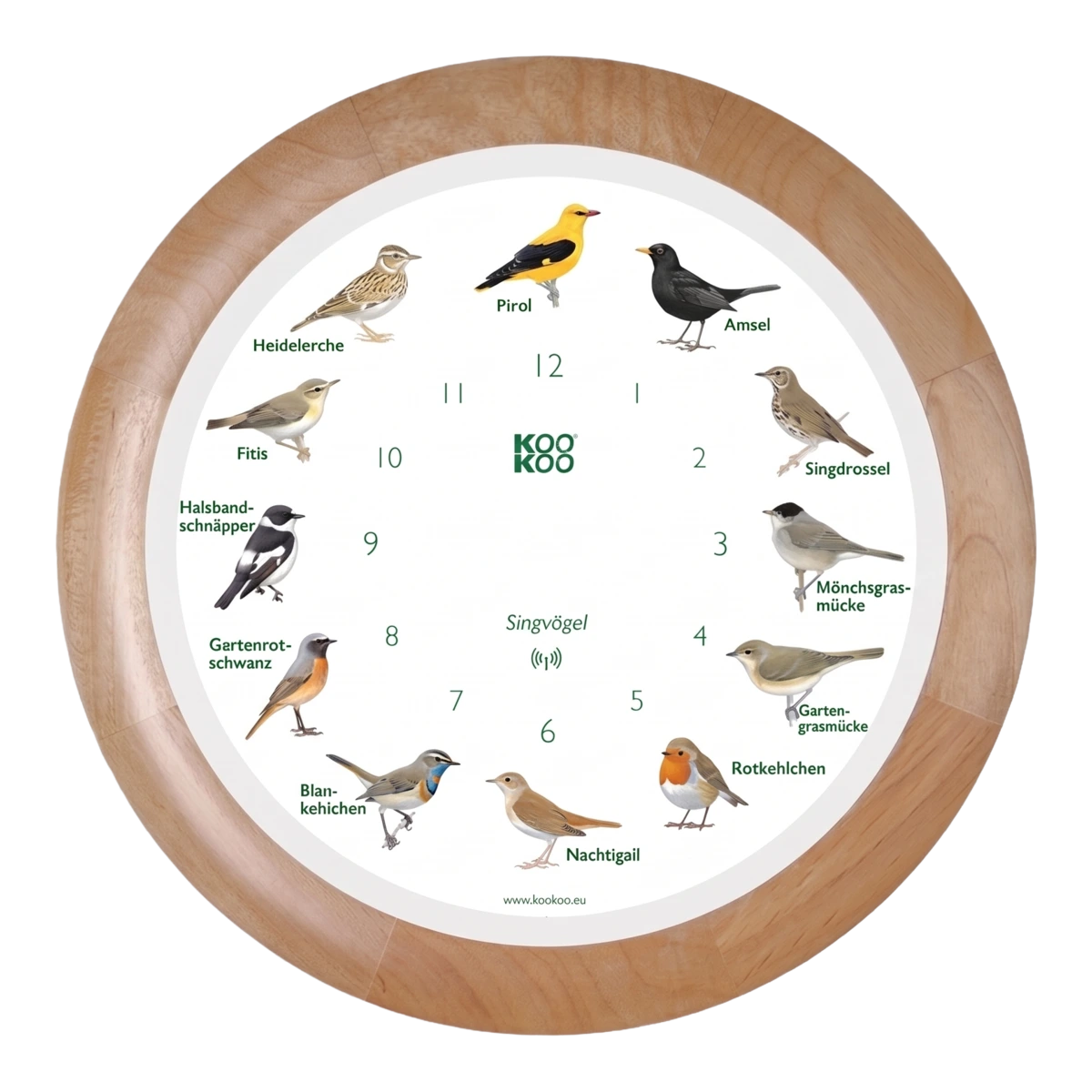 KooKoo Singvögel wall clock with twelve illustrated native songbirds